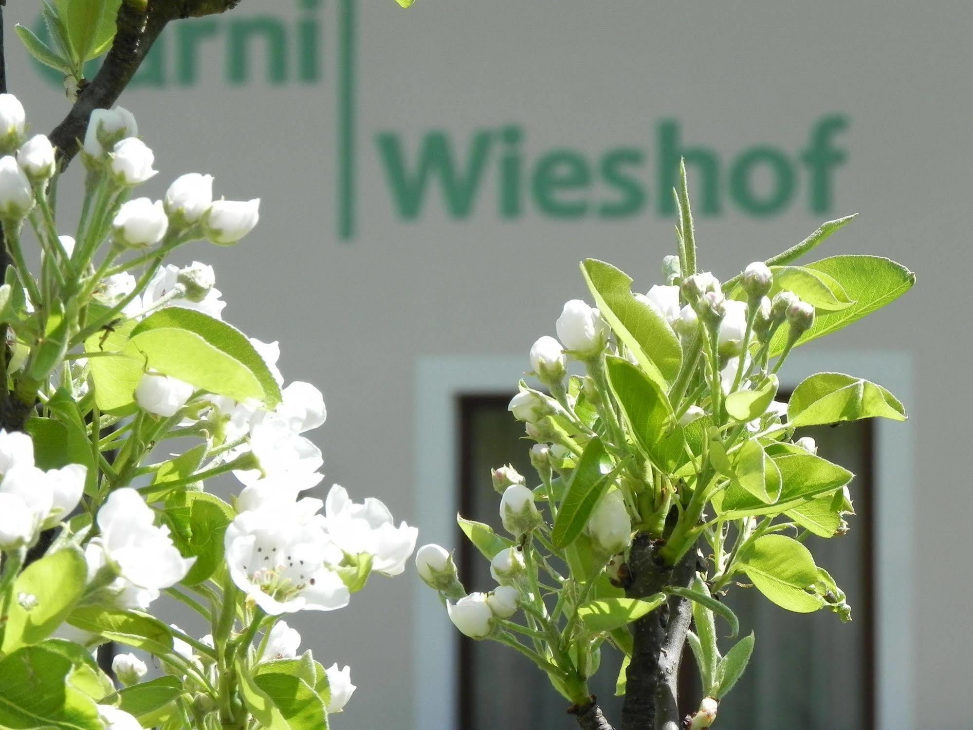 Hotel Garni Wieshof Rauris Exteriör bild